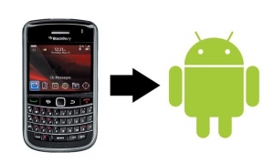 blackberry2