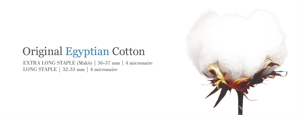 egyptian-cotton
